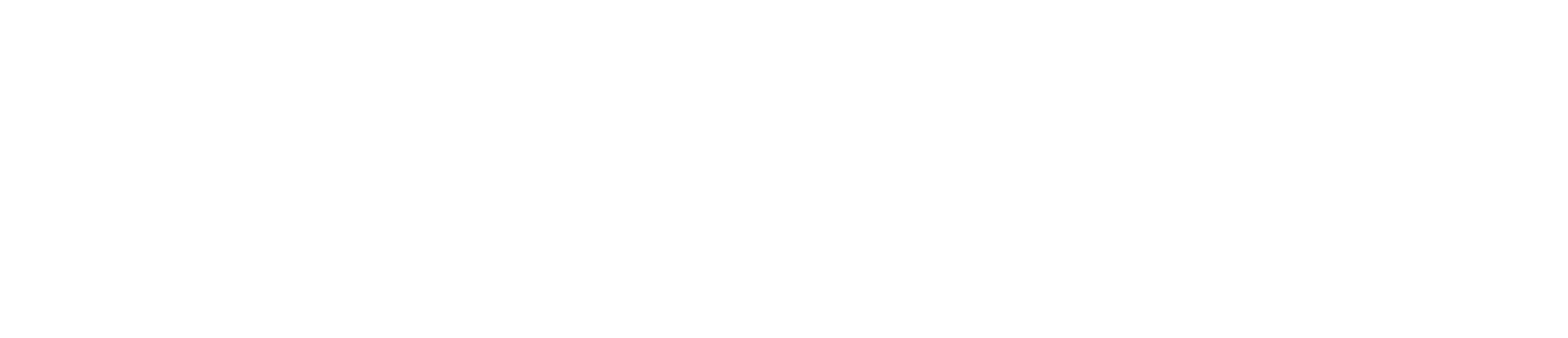 The Fortitude Firm